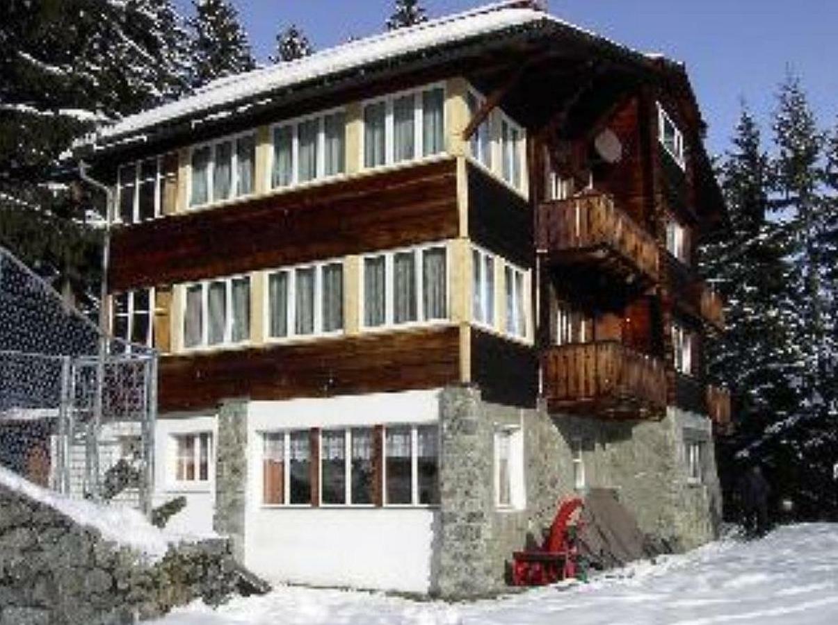 דירות ארוזה Chalet Suveran מראה חיצוני תמונה